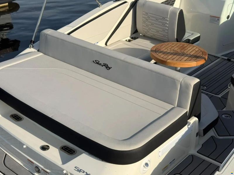 Sea Ray SPX 210