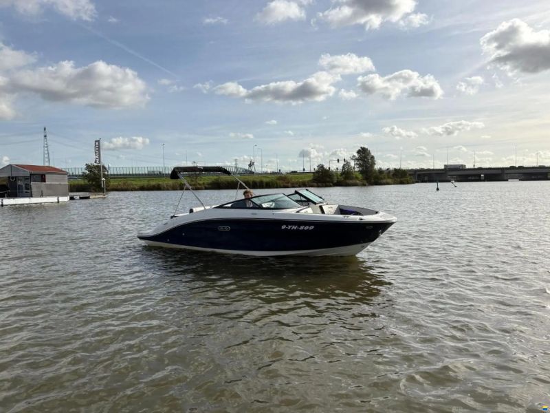 Sea Ray SPX 210