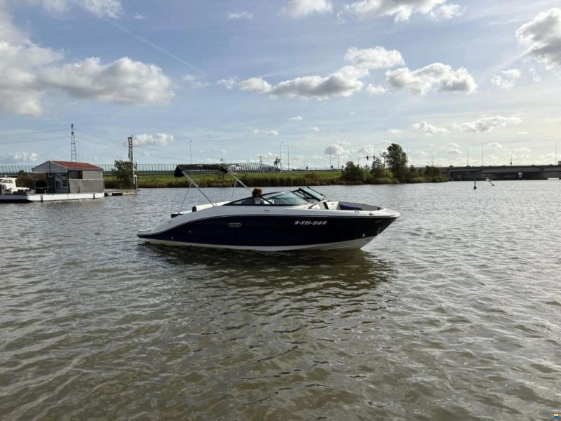 Sea Ray SPX 210