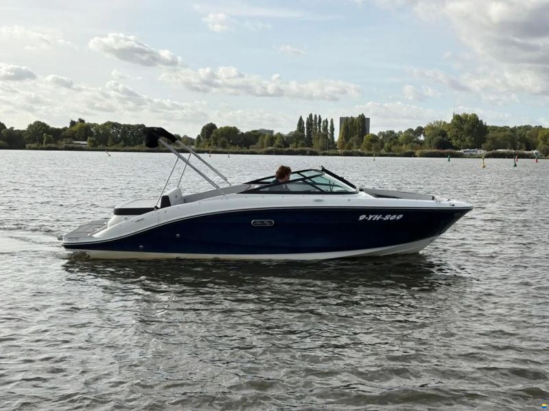 Sea Ray SPX 210