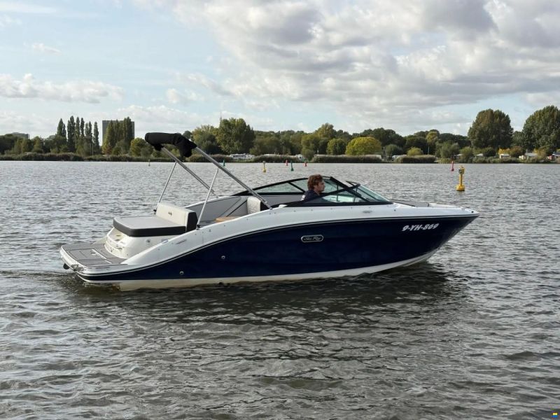Sea Ray SPX 210