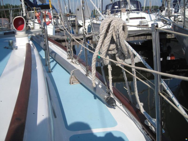 Rustler 31