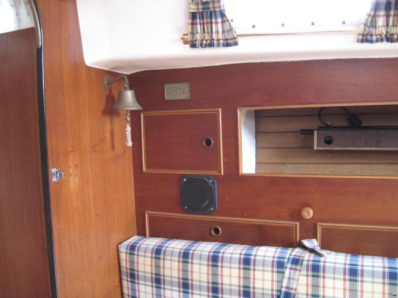 Rustler 31