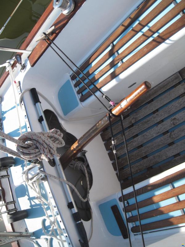 Rustler 31