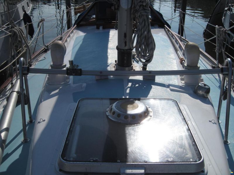 Rustler 31