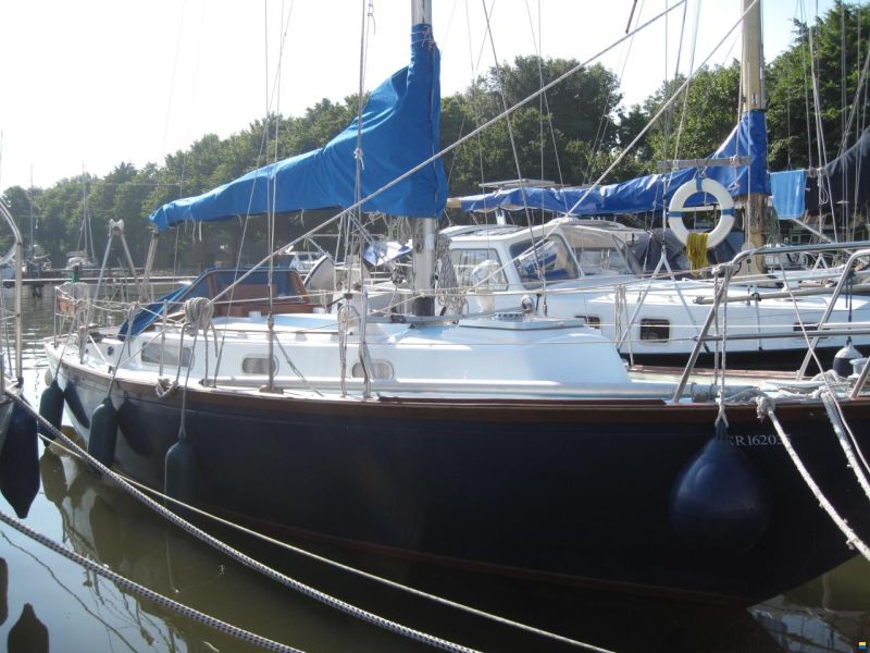Rustler 31