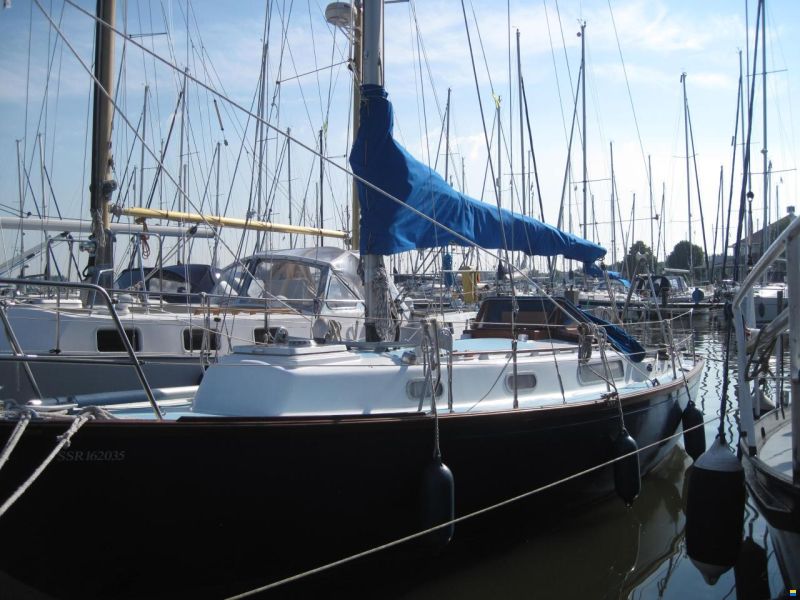 Rustler 31
