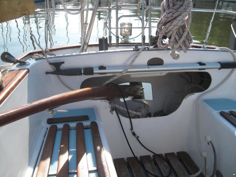 Rustler 31