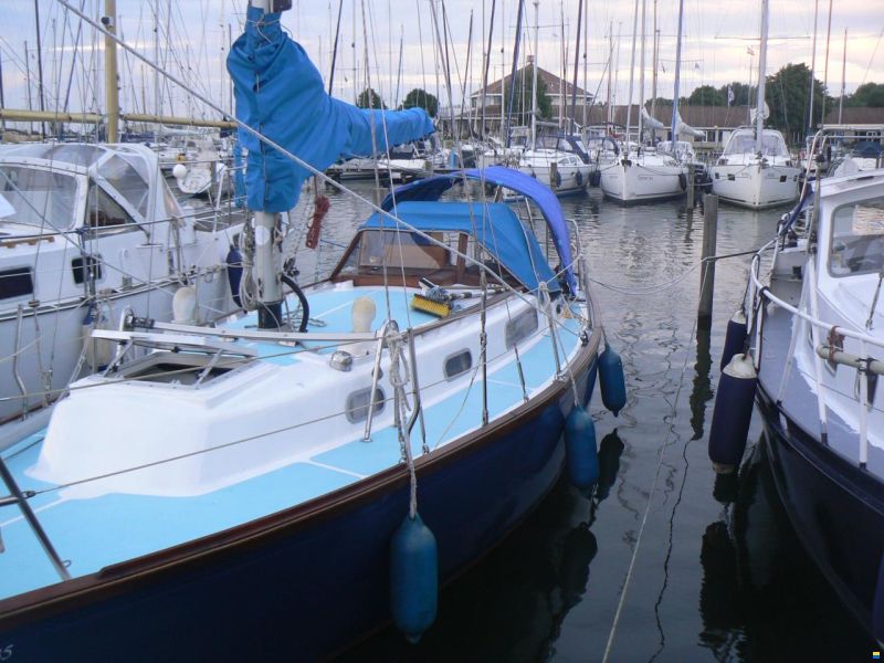 Rustler 31
