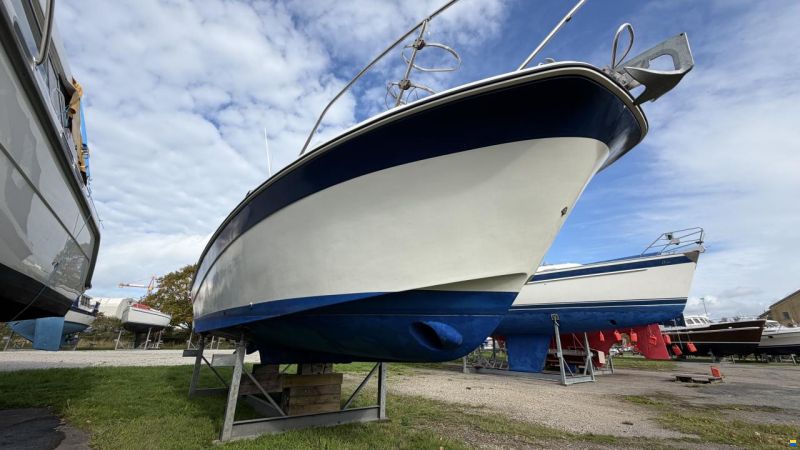 Sea master 813