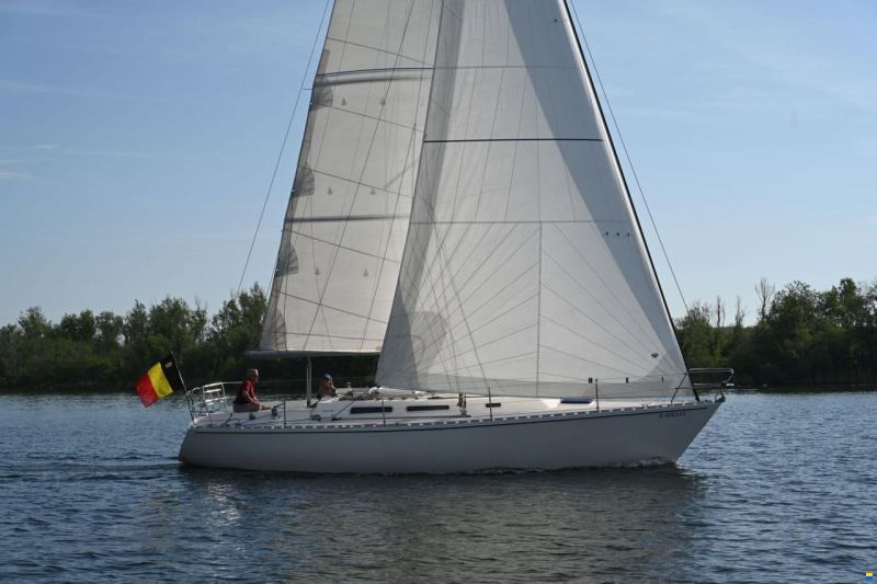 Spirit 36 S