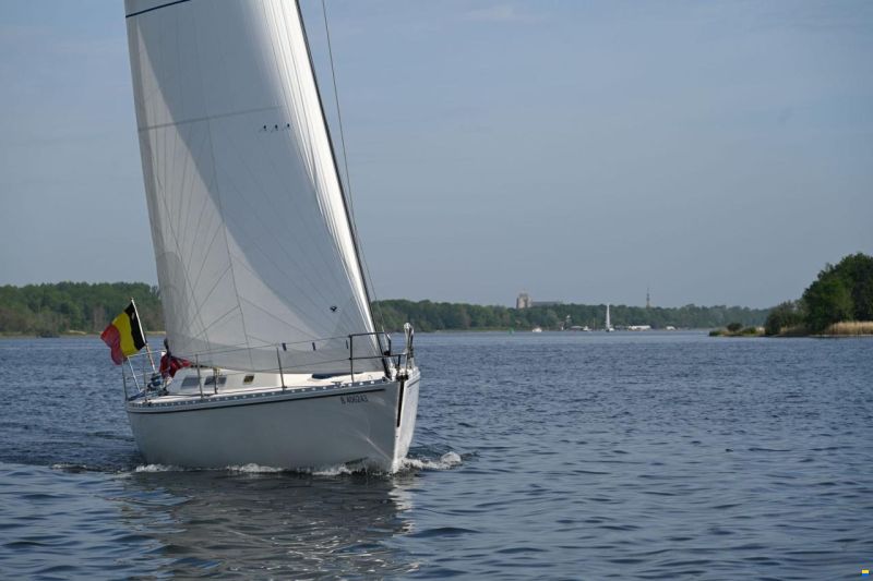 Spirit 36 S
