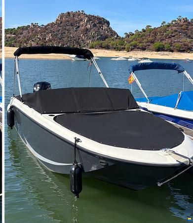 Bayliner Element M19