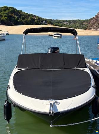 Bayliner Element M19