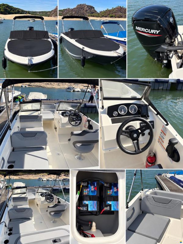Bayliner Element M19