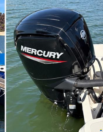 Bayliner Element M19