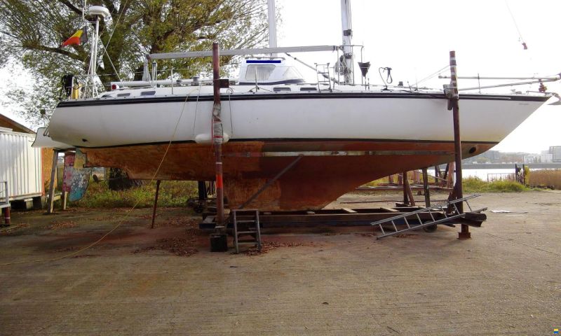 Colvic Countess 37CC