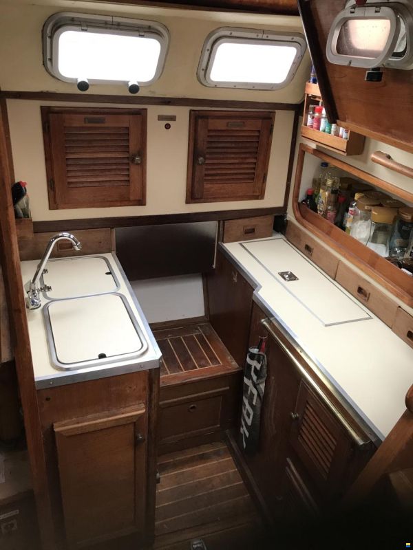 Colvic Countess 37CC