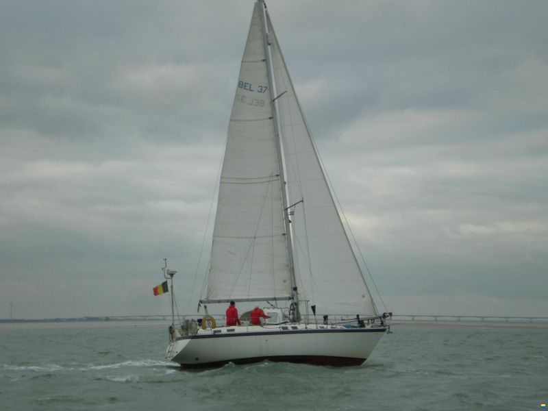 Colvic Countess 37CC