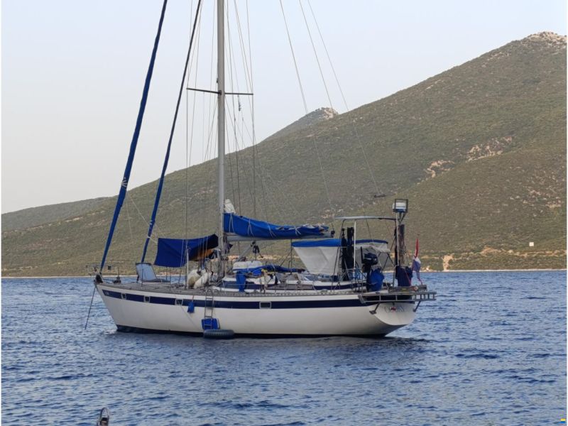 Kalik 44
