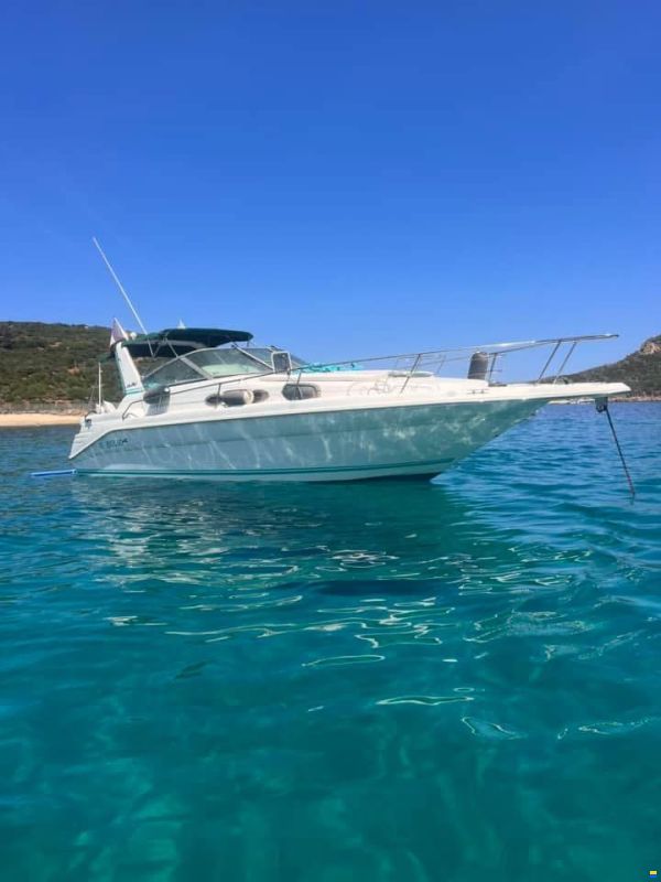 Sea Ray SUNDANCER 290