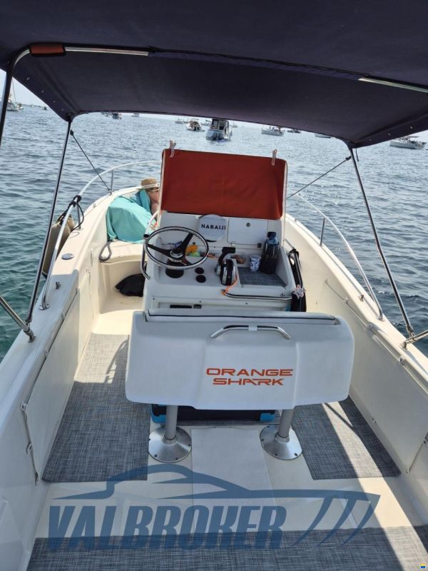 White Shark 205