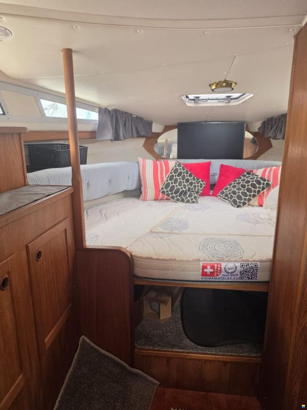 UNIQUE 900 Sport