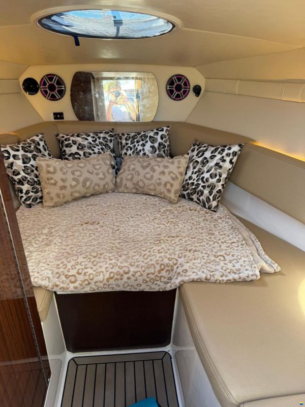 Regal 2550