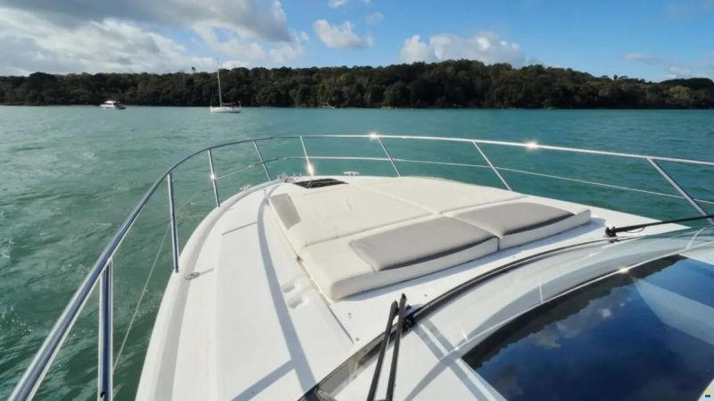 Princess V40