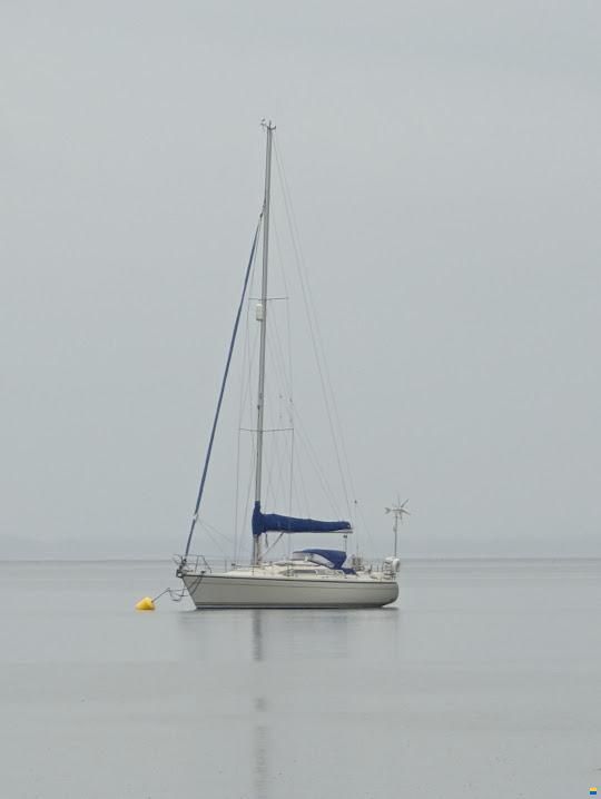 Dehler 36 CWS