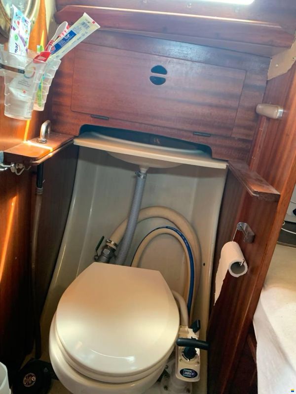 Bianca Commander 31