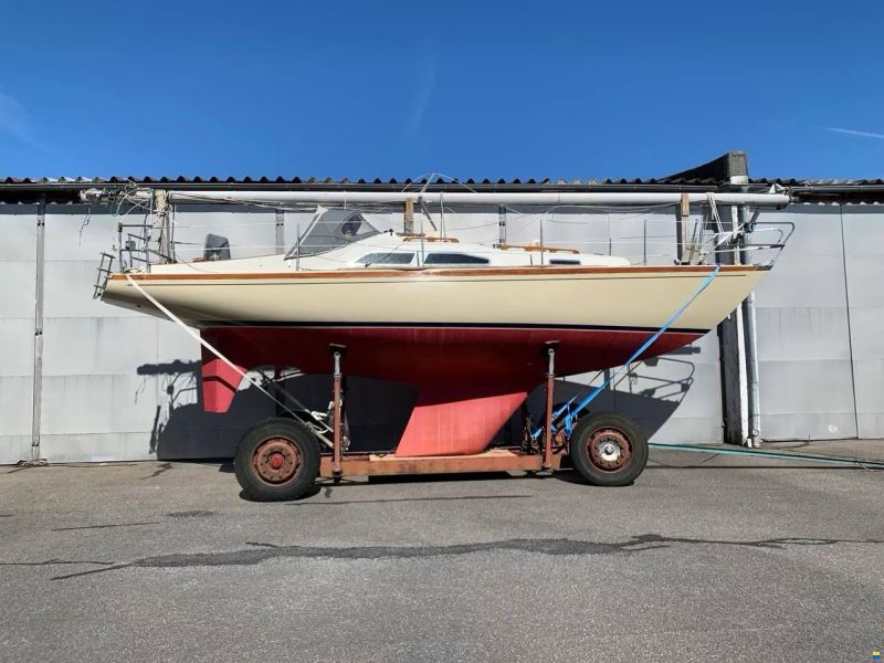 Bianca Commander 31