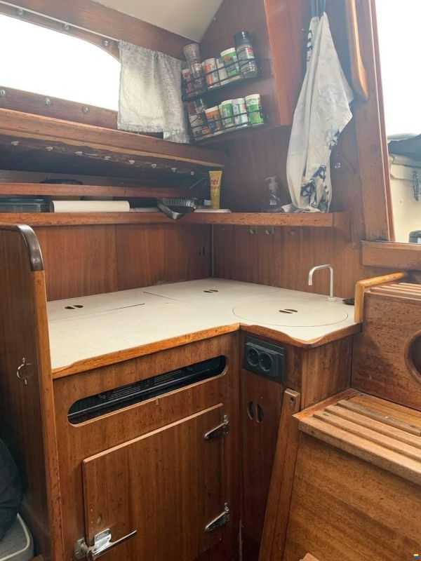 Bianca Commander 31