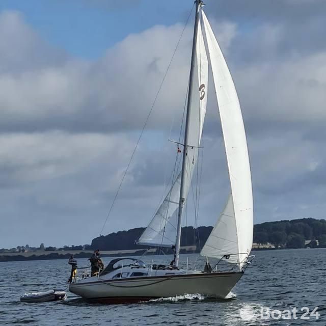 Bianca Commander 31