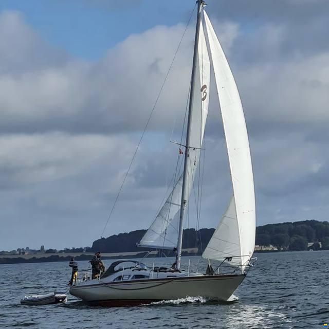 Bianca Commander 31
