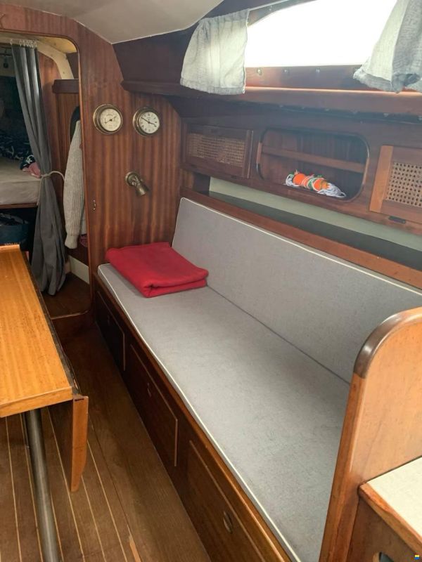 Bianca Commander 31