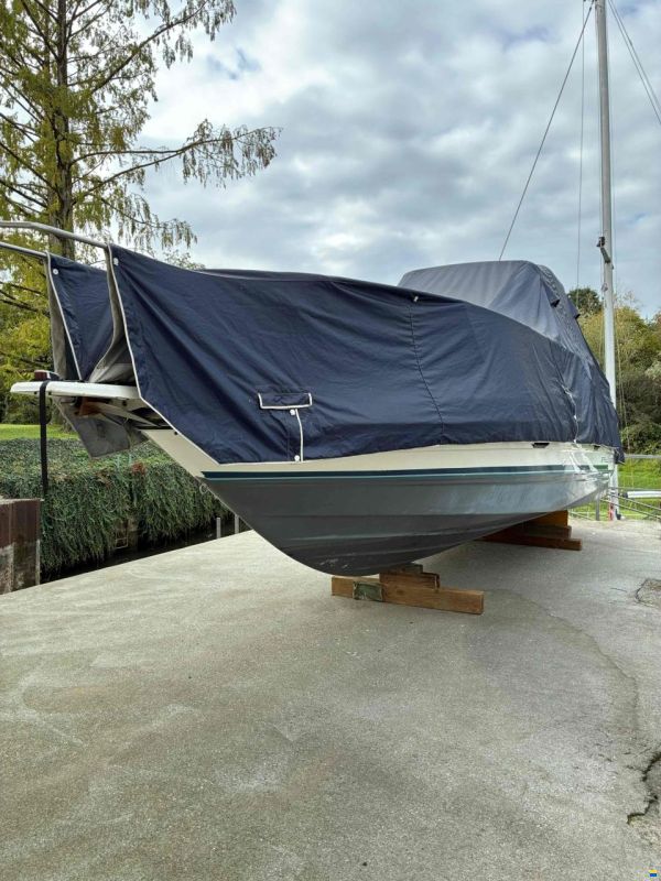 Bayliner 2655 Ciera Sunbridge