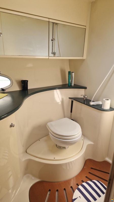 Sessa Oyster 40