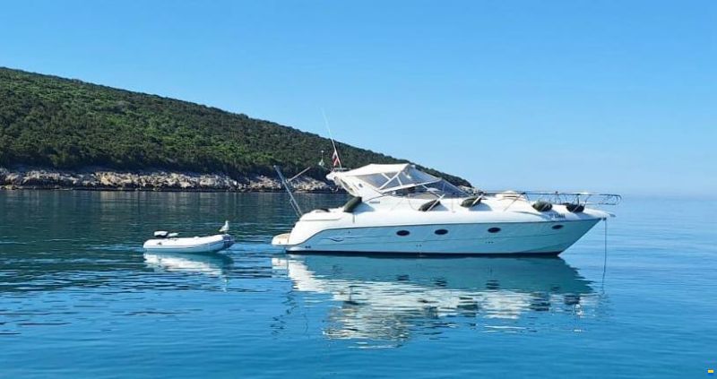 Sessa Oyster 40