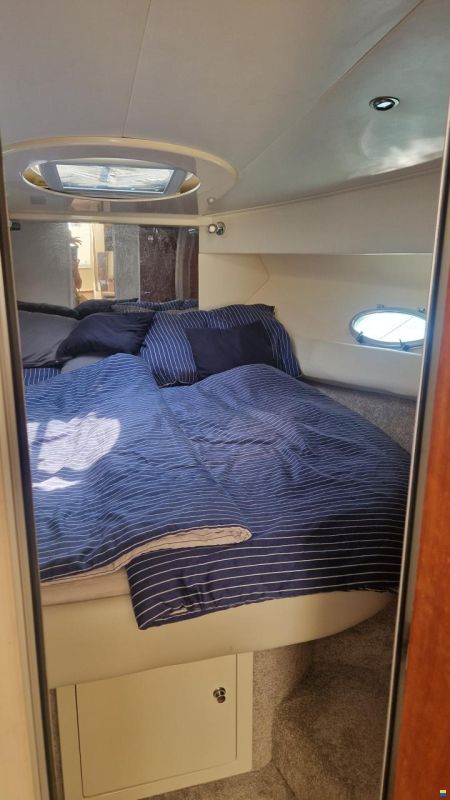 Sessa Oyster 40