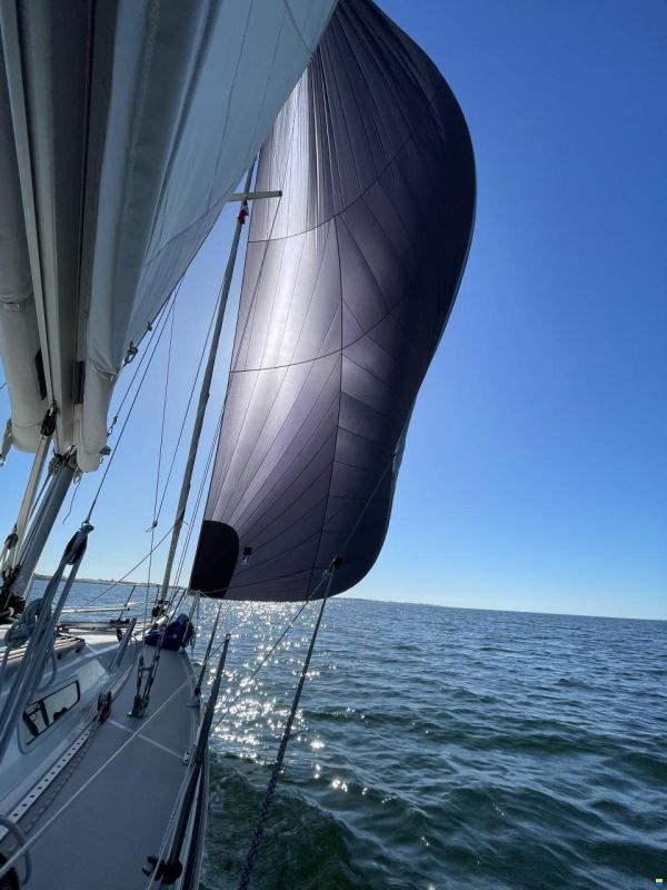 Hanse 331