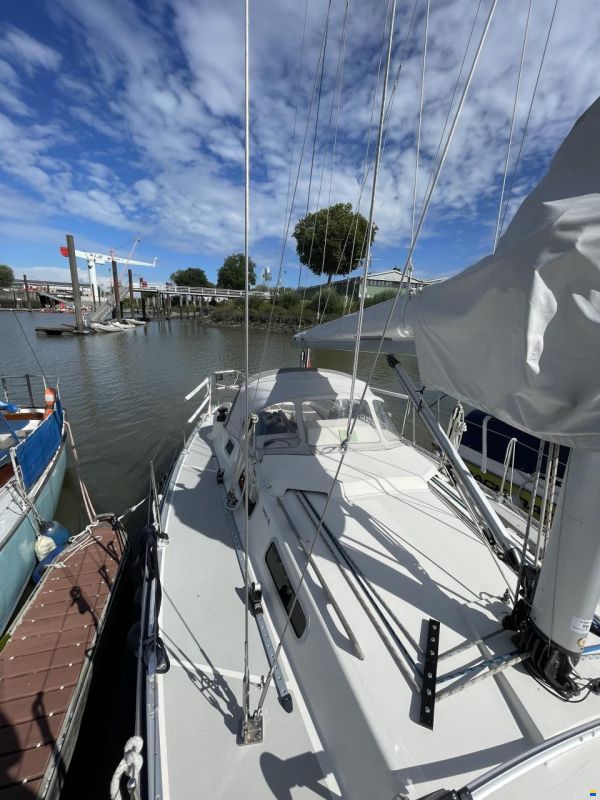 Hanse 331