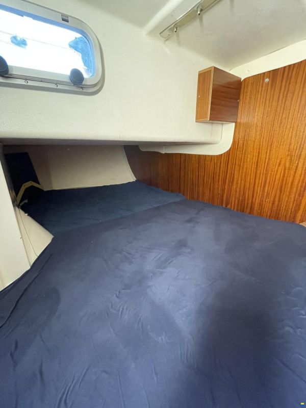 Hanse 331