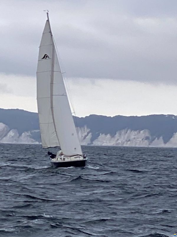 Hanse 331