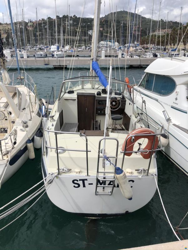 Albin 82 MS