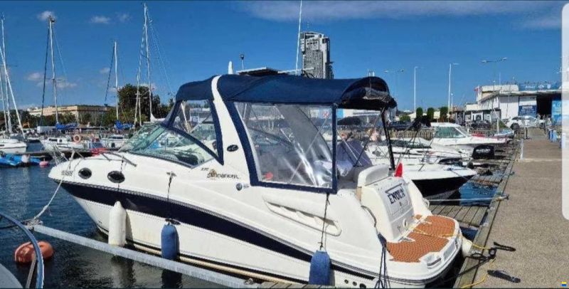 Sea Ray Sundancer 275