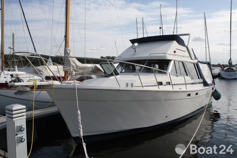 Bayliner 3288
