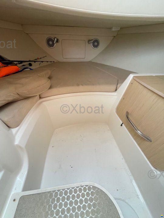 Bayliner Avanti 8