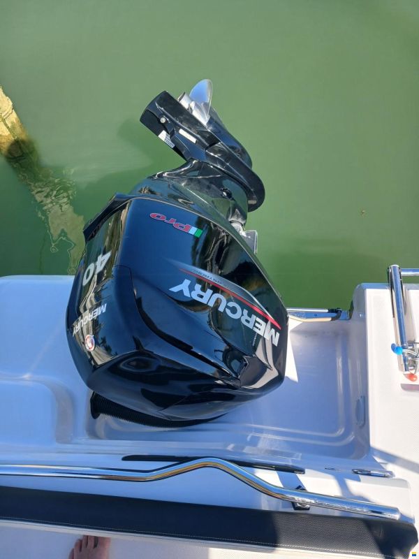 Ranieri Shadow 19
