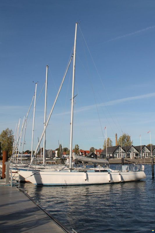 Helmsman Lady Helmsman